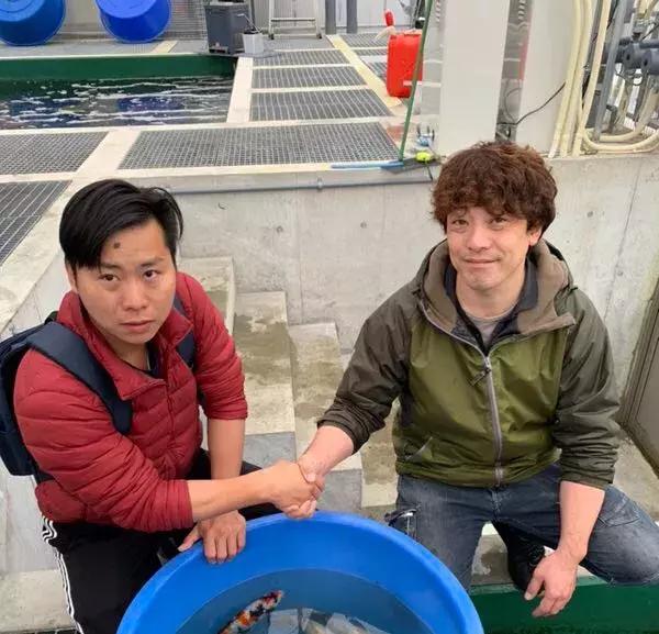 全场八折优惠活动正在火爆进行中,锦鲤网上商城