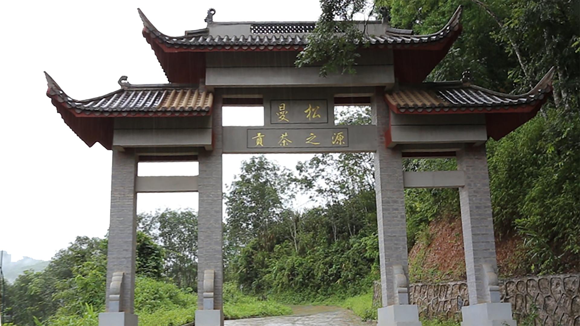 老徐谈茶138期,老徐谈茶冰岛茶特点