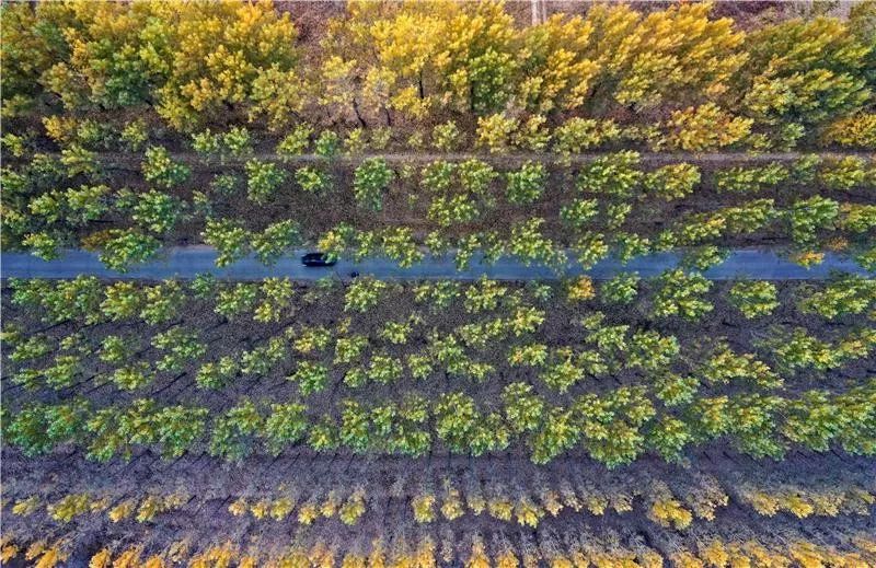 雄安风景好的地方,雄安新区必去十大景点