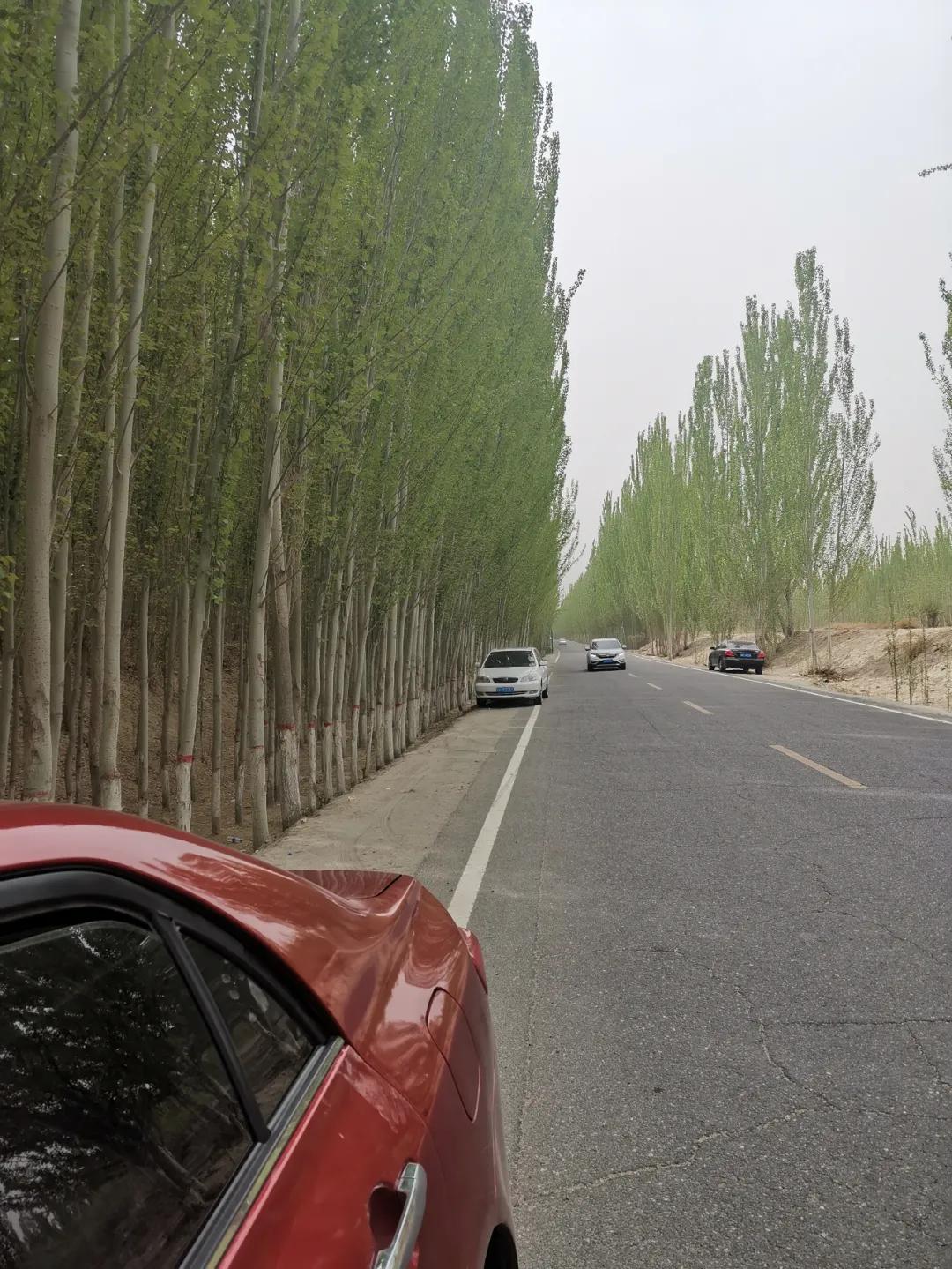 和田寻玉最佳地方,和田寻玉价格