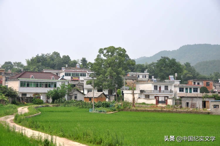 太湖状元李振钧,李振钧太湖状元