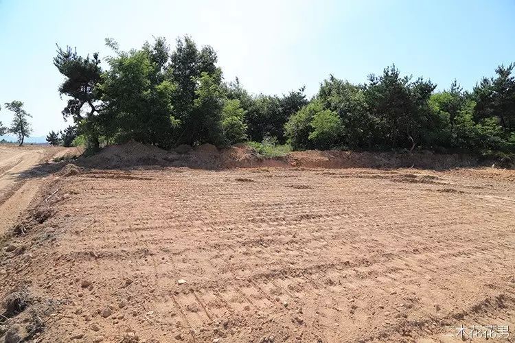 澶氳倝澶х浜屾湪,澶氳倝杈句汉浜屾湪