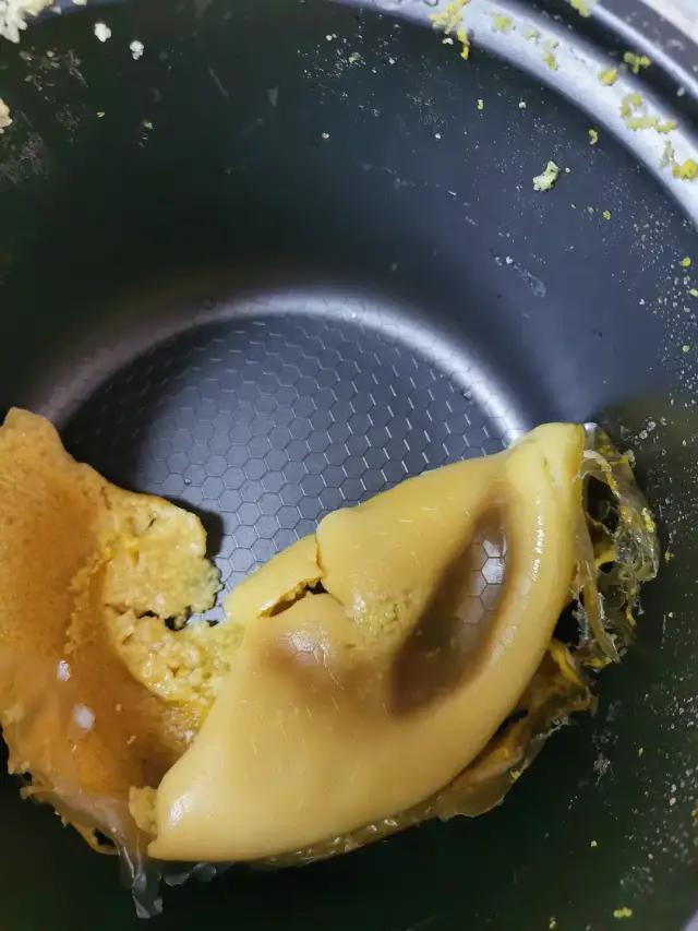 哈哈哈哈哈我笑到我家的狗偷开邻居家的车送我去精神病院