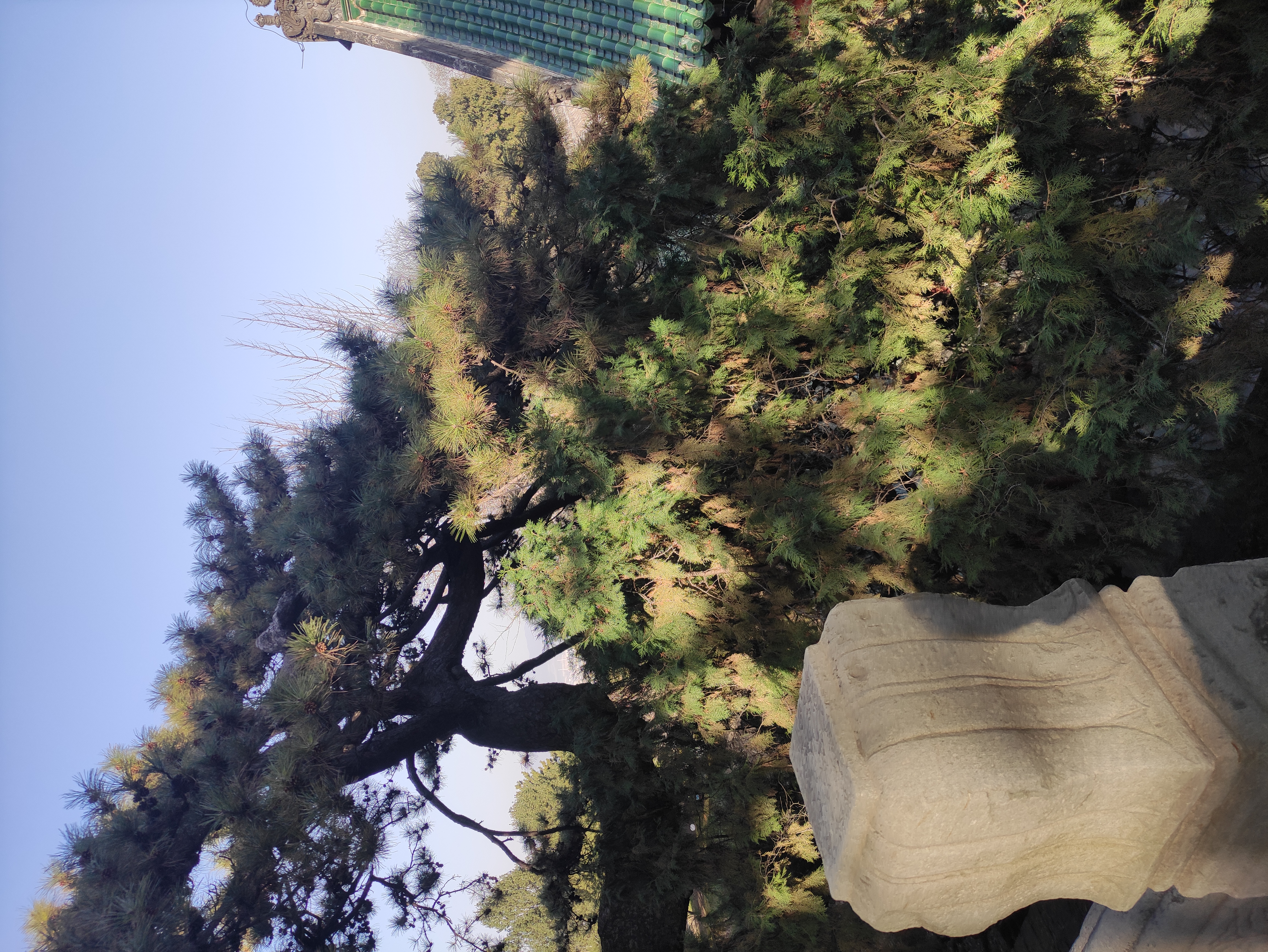 玉台寺攻略一日游,戒台寺游玩顺序