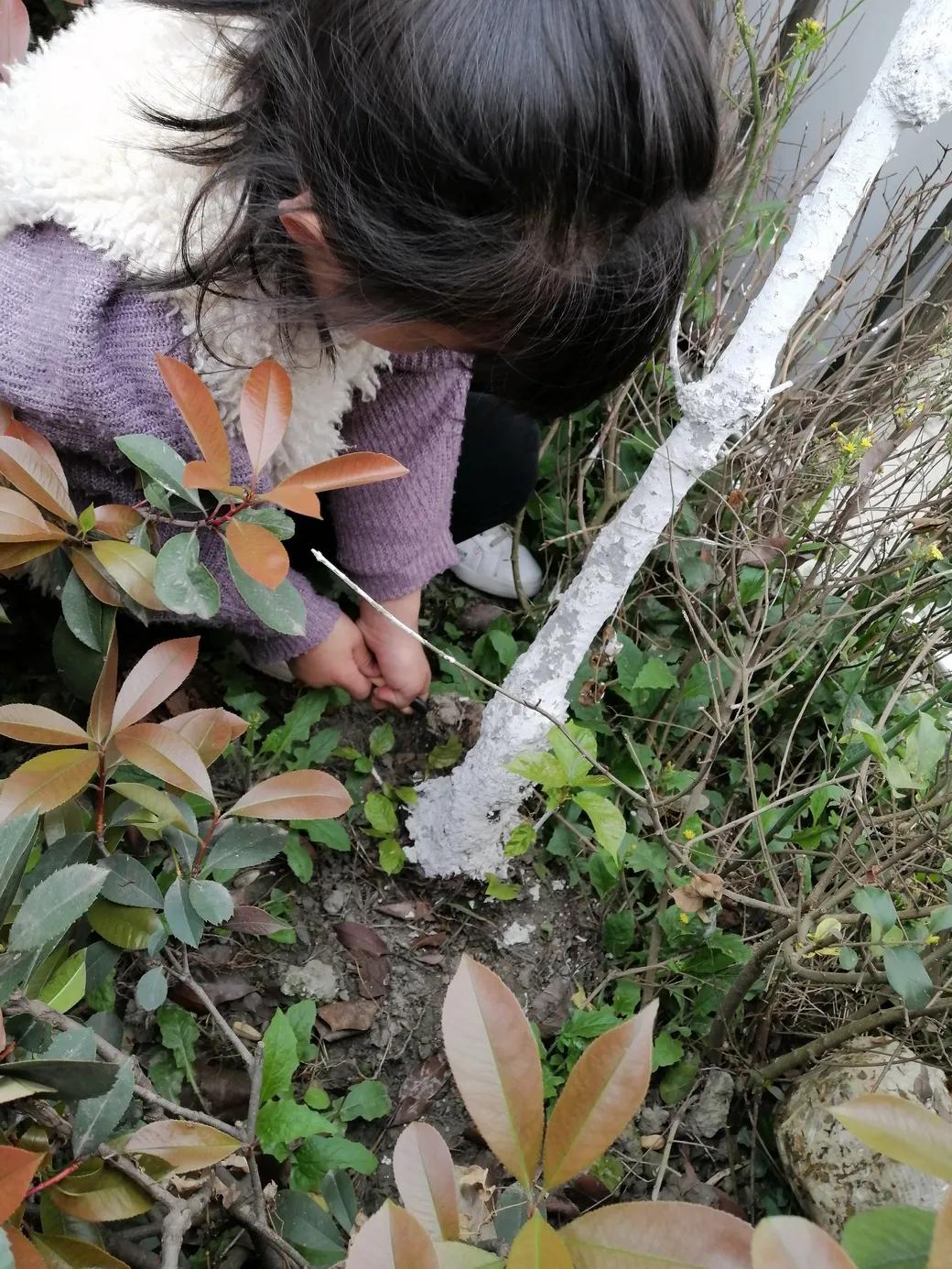 成都市双流区胜利幼儿园主题活动,天府新区幼儿园活动