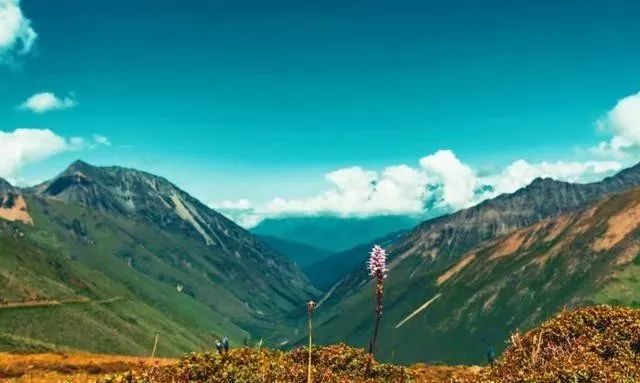 “蒸笼”天气重磅回归，今年夏天避暑纳凉的首选地当然还是康定！