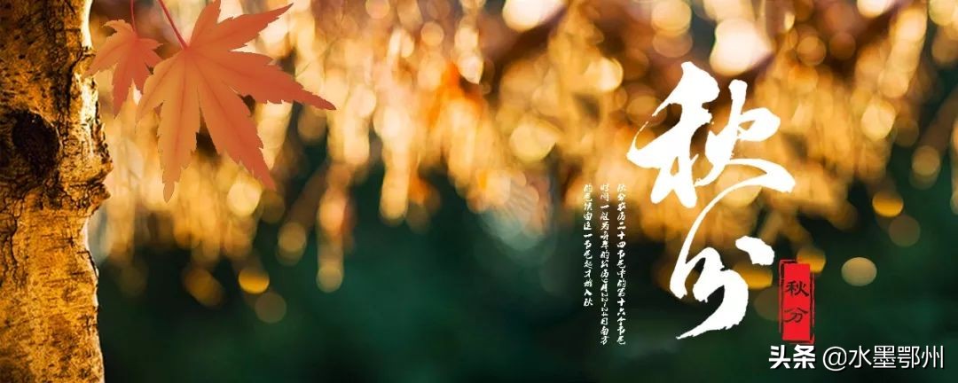 秋分在诗词里遇见最美秋日,秋天最美的诗秋分