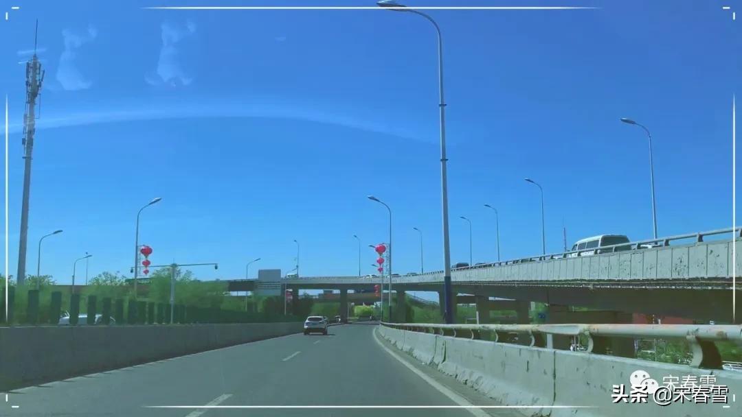 鏅掓檼鎴戠殑骞哥鐢熸椿,鏅掓檼鎴戠殑骞哥鐢熸椿浣滄枃