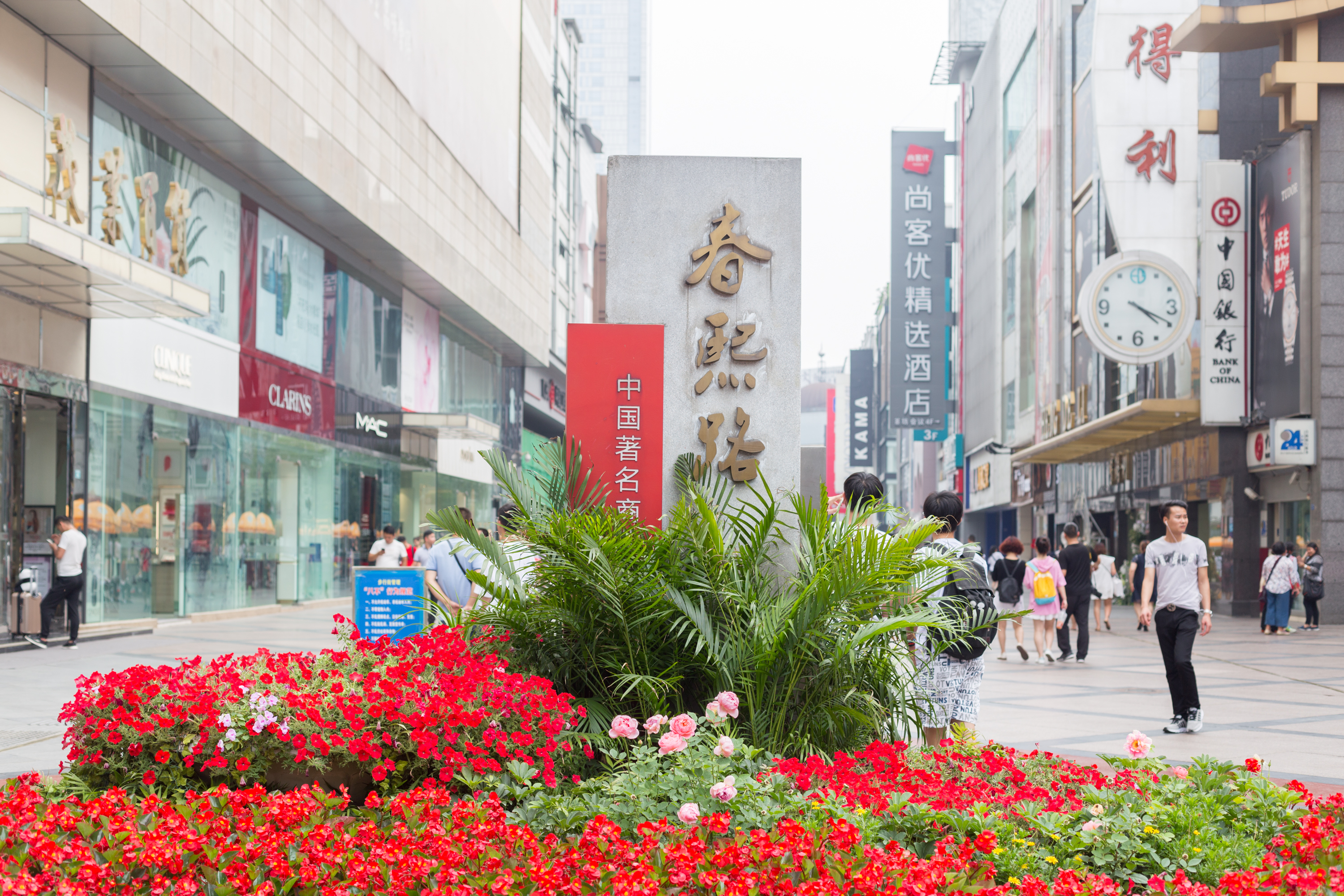 成都和重庆哪个更适合旅游,成都与重庆哪个更好