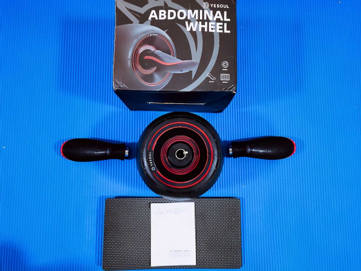 閲庡皬鍏借吂鑲屽仴韬櫒鑳界槮鑴镐笉,閲庡皬鍏借吂鑲屽仴韬櫒璁粌璁″垝