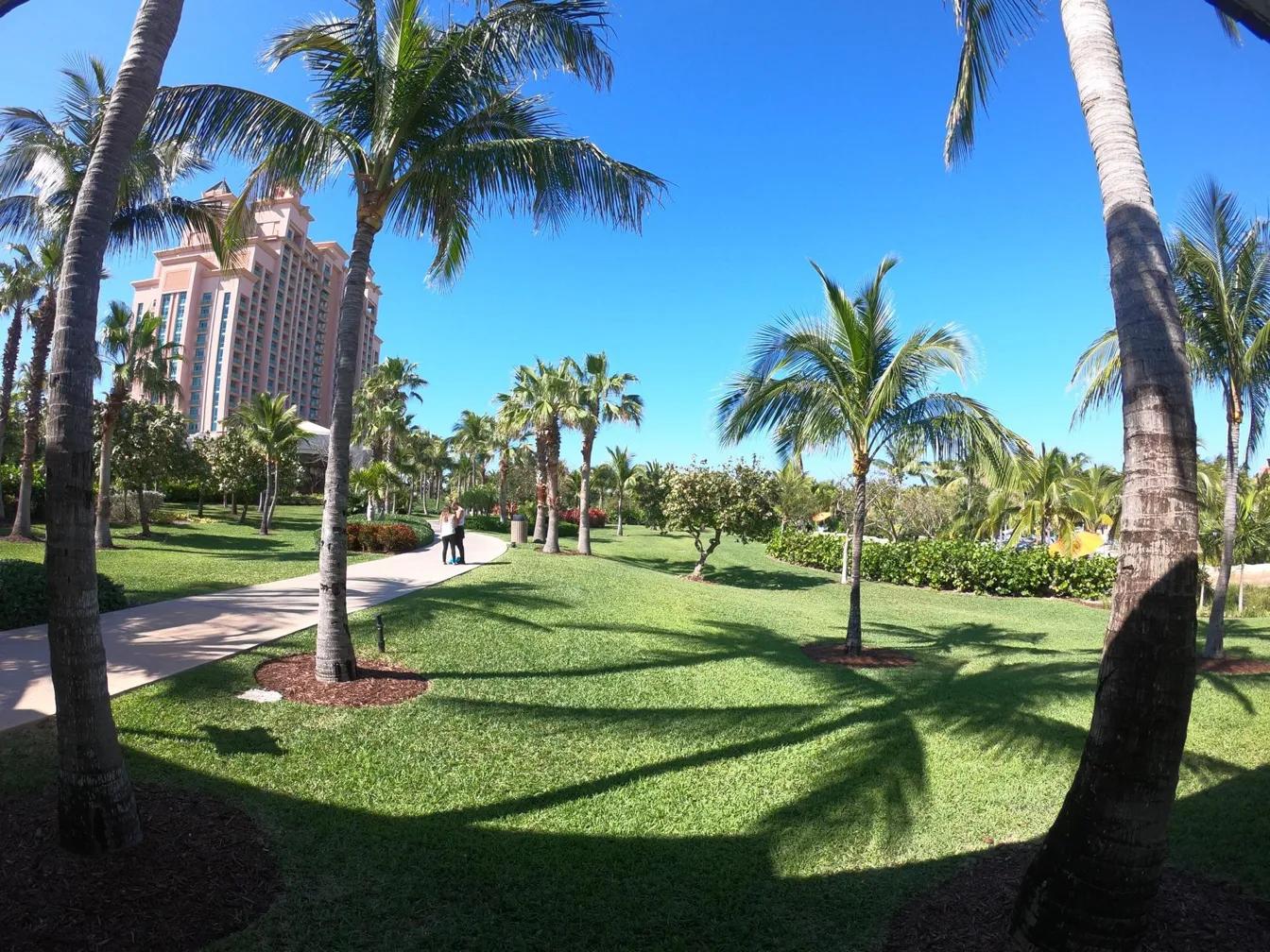 巴哈马粉色沙滩攻略,巴哈马粉沙滩