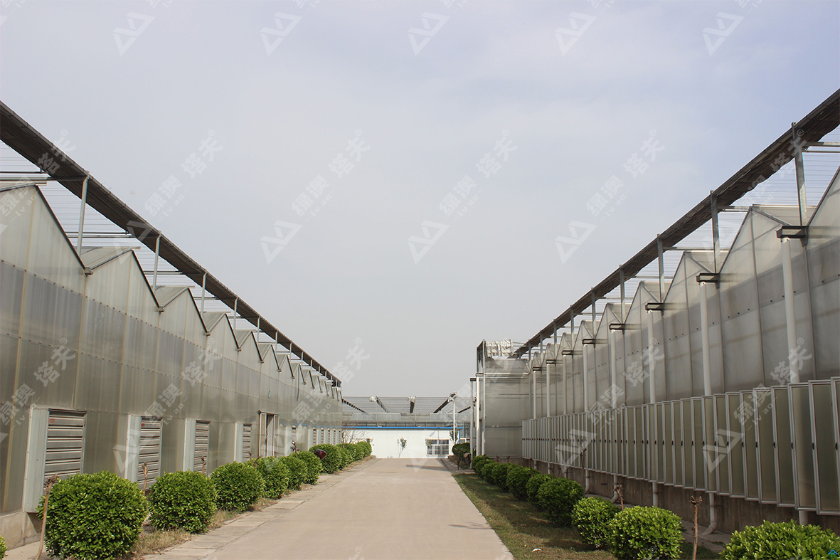 玻璃阳光板温室大棚夏天温度,温室大棚采光板怎么样