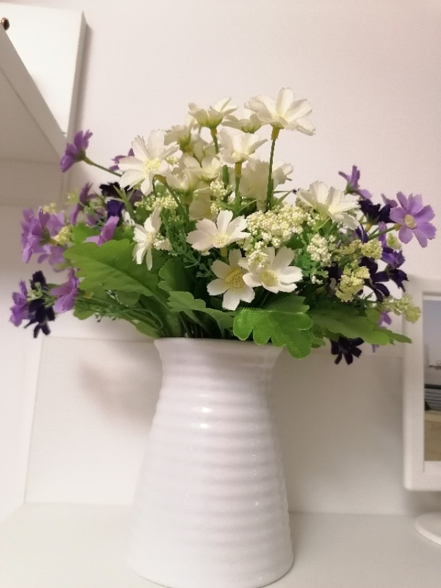 懒人养花小妙招盆栽,懒人养花直播