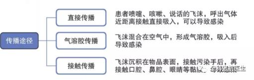 新型冠状病毒最可怕的一件事,新型冠状病毒排行榜