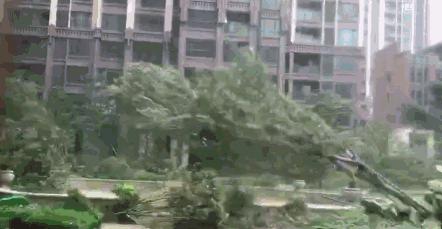 买到车泡水了怎么处理,买的新车泡水了怎么办