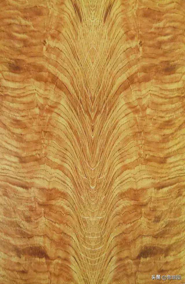 装饰材料木皮有哪些,装饰木皮有哪几种