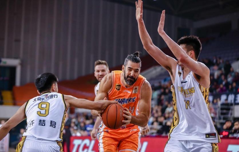 cba上海大鲨鱼对浙江广厦谁胜,cba新赛季上海大鲨鱼