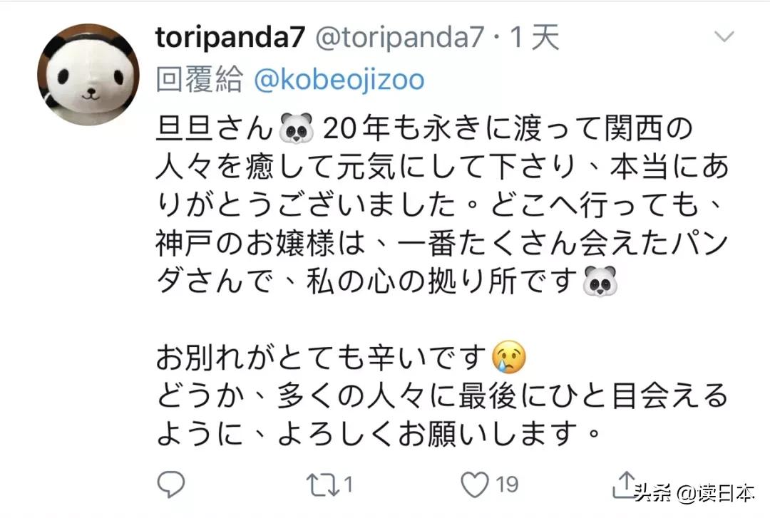 日本的顶级流量担当者大熊猫！日本人的熊猫情结疯狂到你想不到