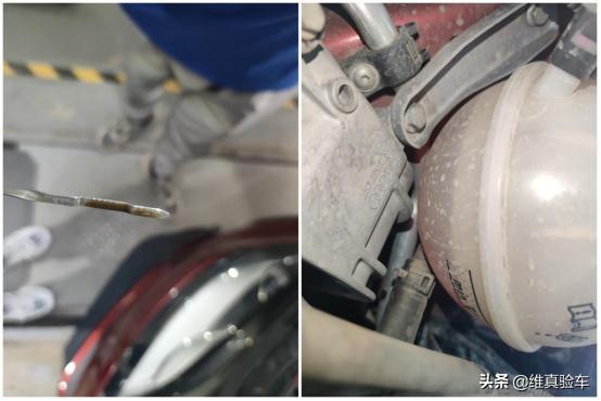 13W捡漏奥迪TT只为撩妹，却发现C柱有切割？检测师：心疼哥哥