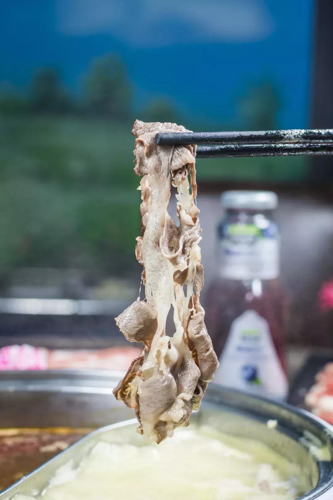 日式河豚火锅,青岛吃河豚火锅