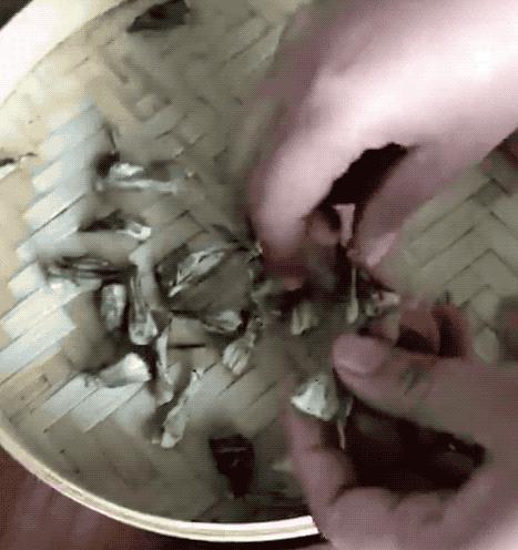 无毒野生菌图鉴大全,见手青野生菌可以吃的种类