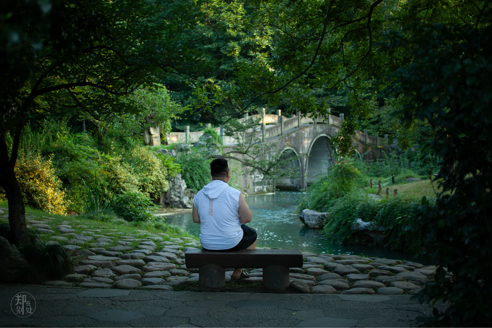 坐公交游杭州几路最好,杭州87路公交沿路风景