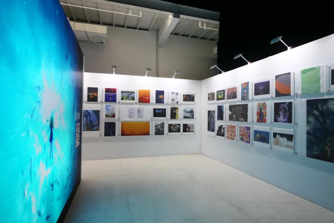 LOFTER品牌焕新，看见年轻人的每一种兴趣