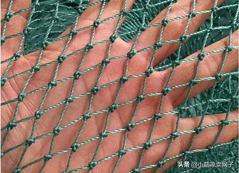 养殖网用塑料好还是铁网好,尼龙网和铁丝网哪个适合家庭养殖