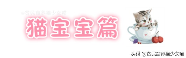 母猫产后如何护理,母猫产后护理