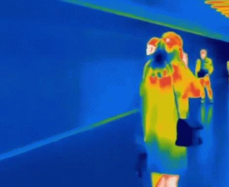 最近吃素经常放屁什么原因,吃素一段时间老放屁