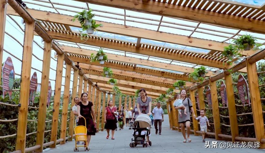 龙泉驿区都有哪些村,龙泉驿村