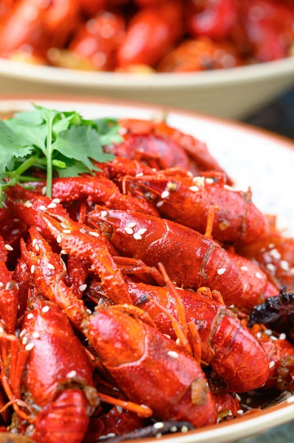 巴掌大小龙虾,深夜爆香小龙虾