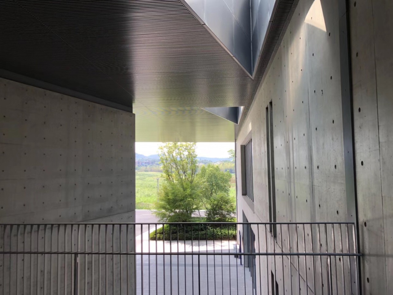 这是高晓松送给杭州的礼物,实名羡慕杭州市民!