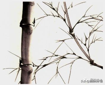 图文教程竹子画法,怎么画竹最简单最好看