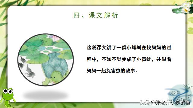 小蝌蚪找妈妈课程分享ppt,小蝌蚪找妈妈ppt教师讲解视频