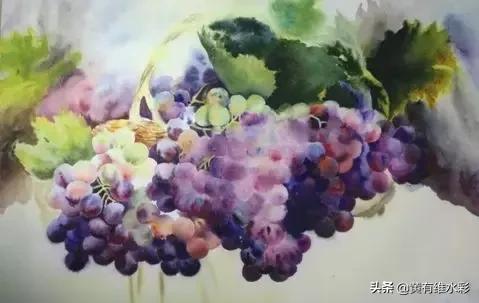 晶莹剔透的葡萄,水彩葡萄图片