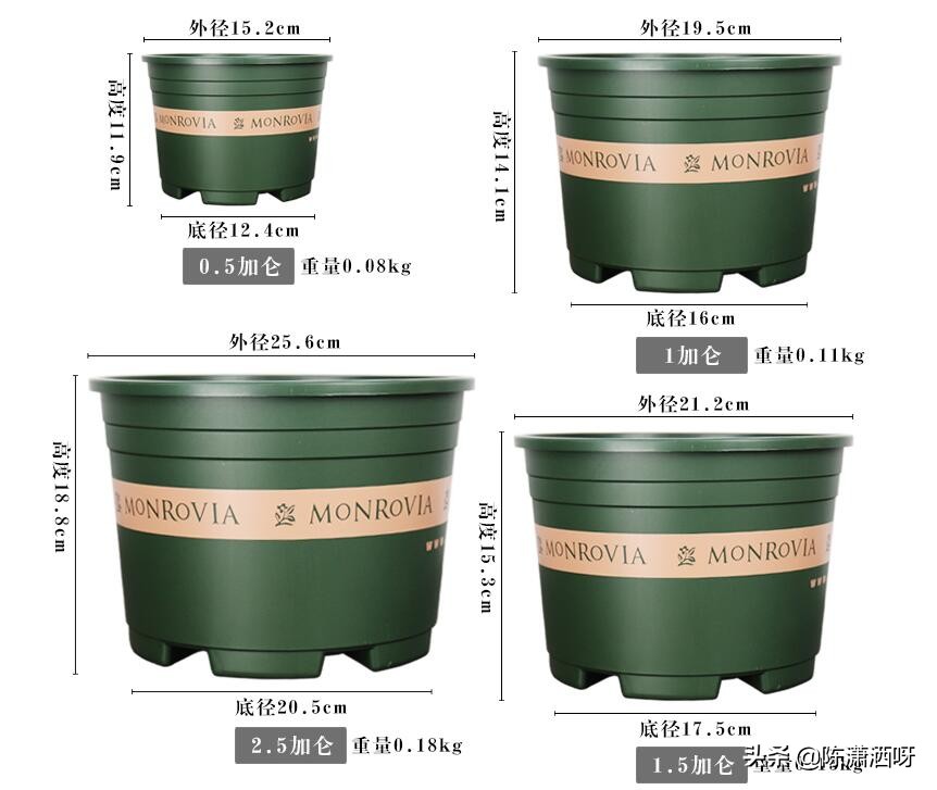 常见花卉花盆图片大全,各种花盆的优缺点图片介绍