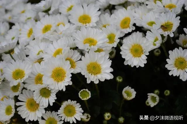 入冬的第一场大雨如约而至,一秒入冬让人措手不及还没买外套