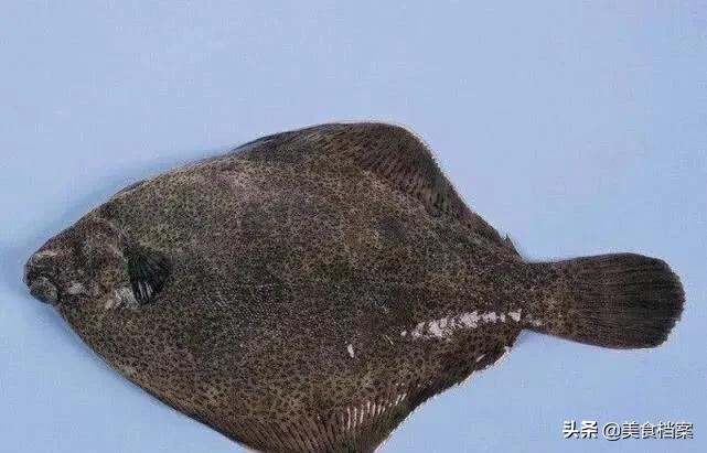 公认最好吃的十种鱼,公认最好吃的20种鱼