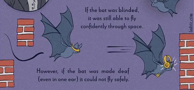 b超都包括哪些内容,b超与b超有什么区别