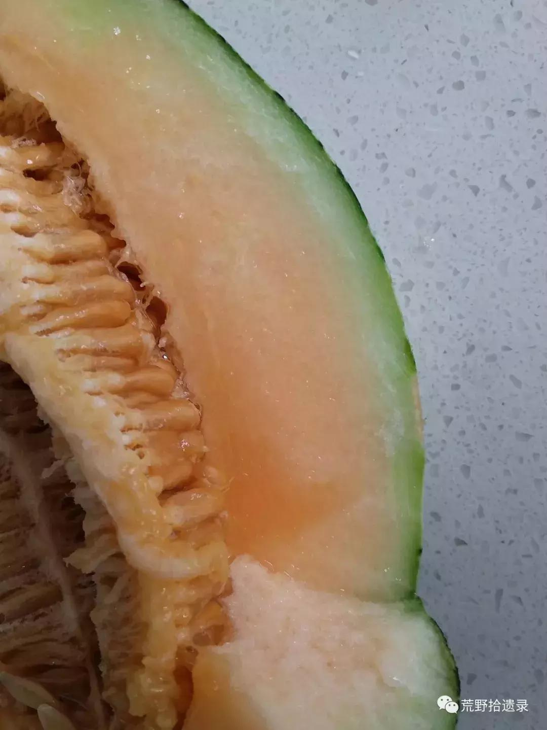 四川适合种植哈密瓜甜瓜品种,甜瓜种植技术新疆哈密瓜