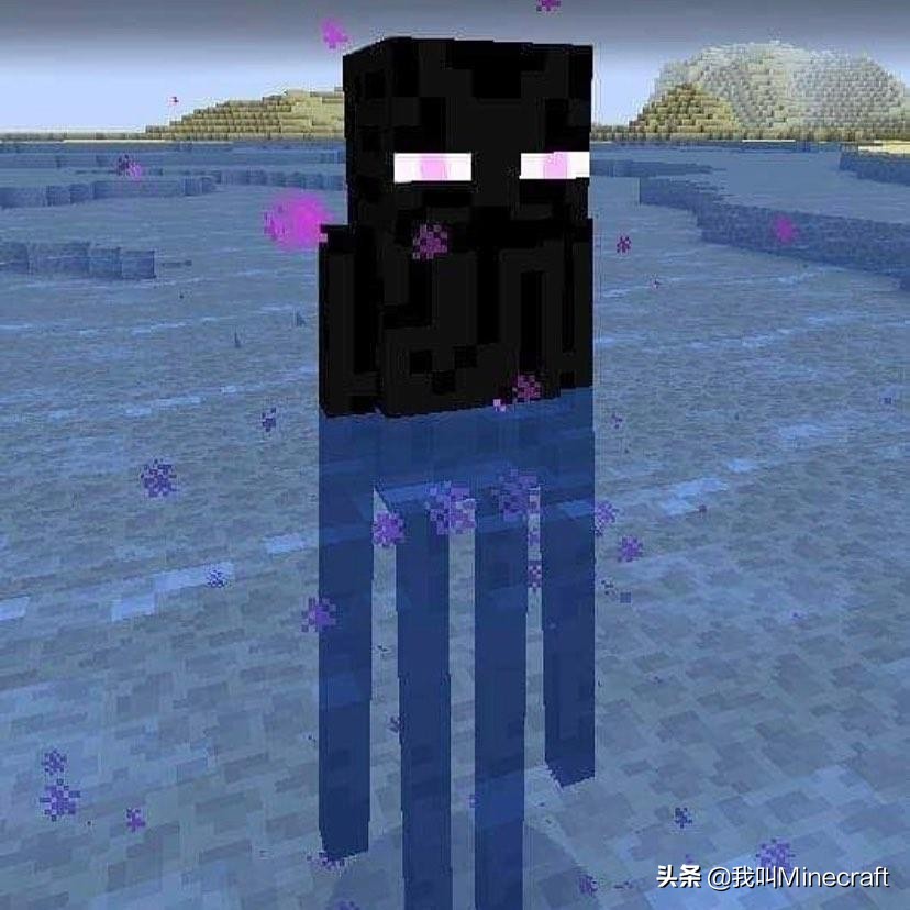 我的世界mc网图大揭秘,我的世界mc网图揭秘