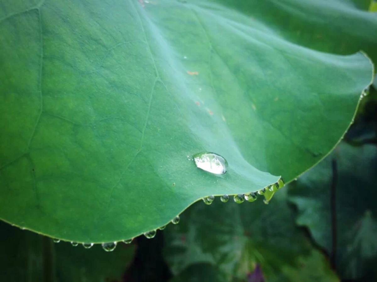 冥想的含义和作用,冥想的目的意义和可行性