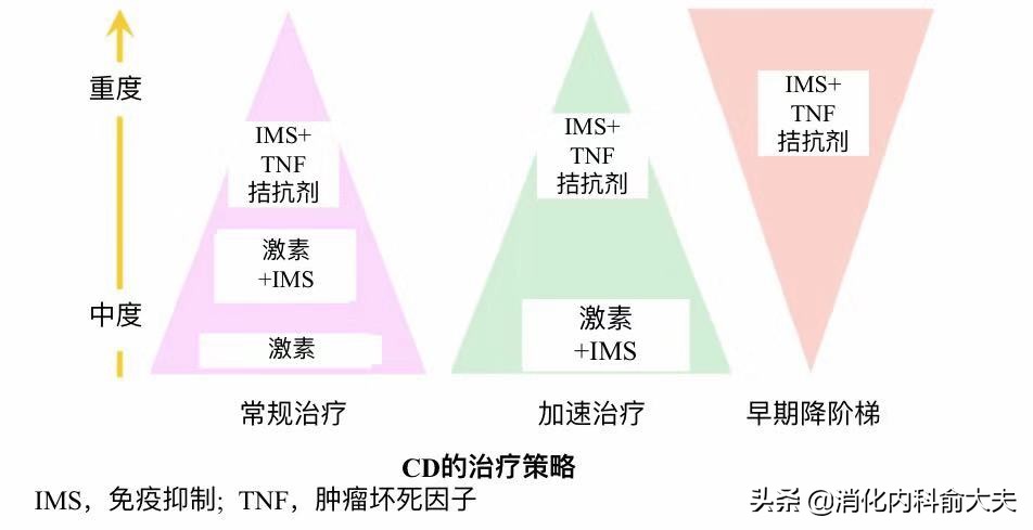 俞大夫讲解视频,俞大夫的讲座
