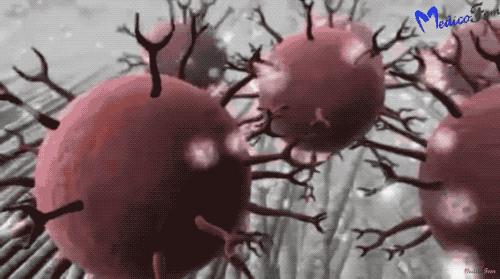 新冠测试纸是谁研制的,新冠测试纸原理