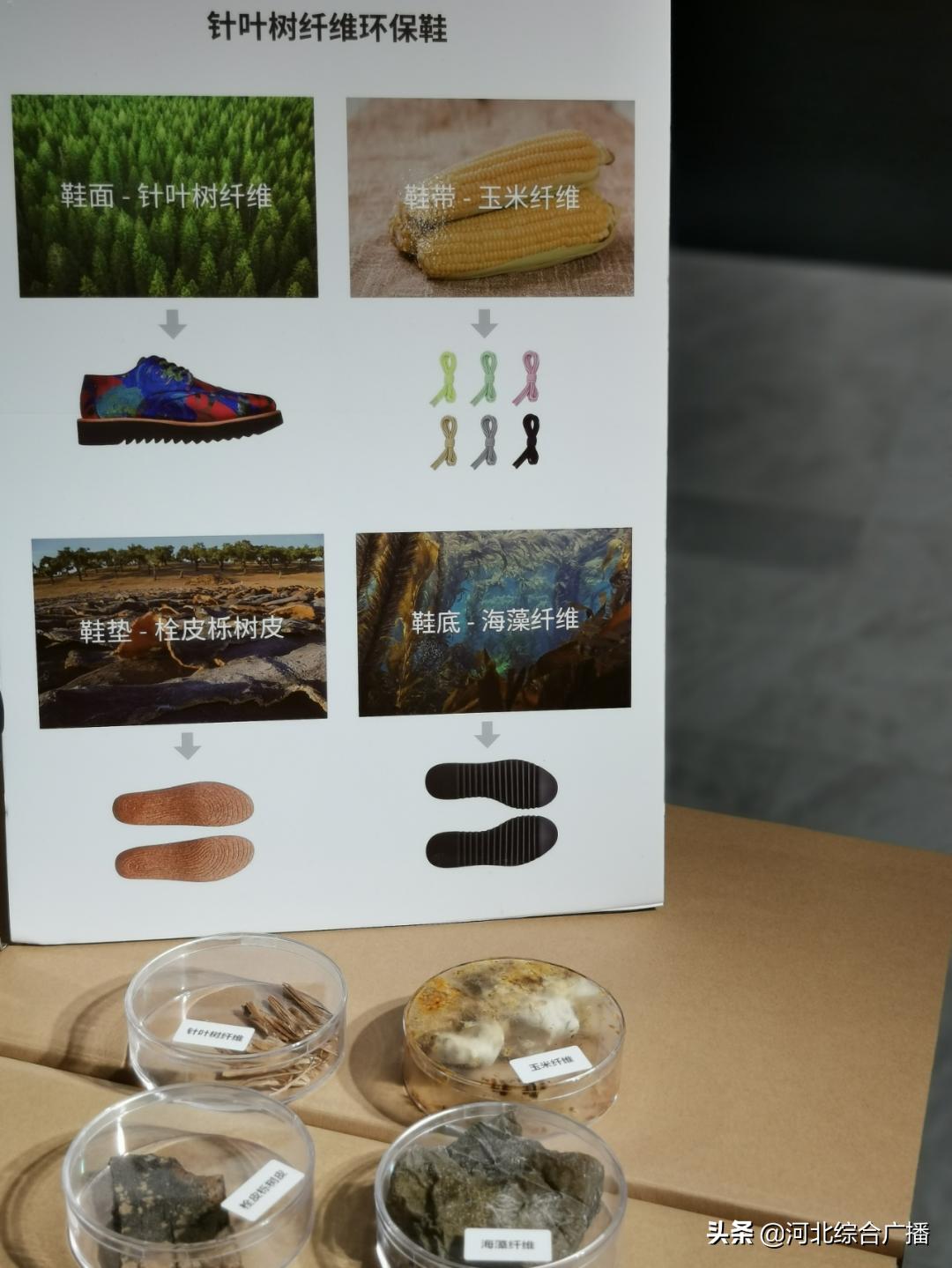 举爪爪！金芦苇奖哪件设计作品Cue到了你