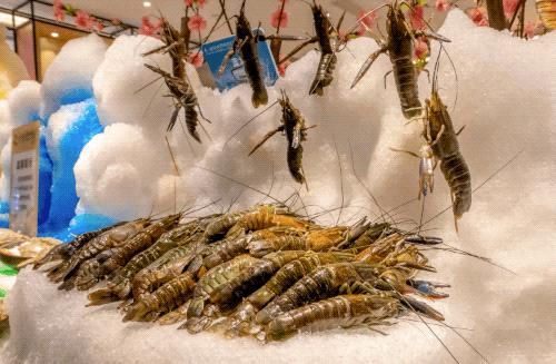 上海788元的海鲜自助到底值不值,上海海鲜自助第一名