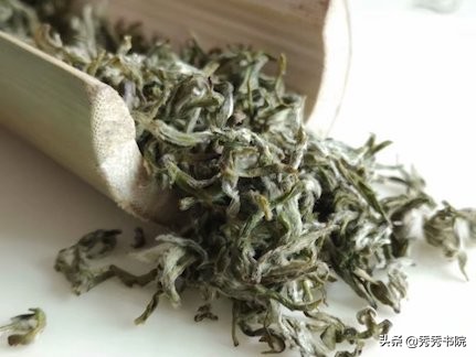 秀秀书院黄帝内经读书会,秀秀书院道德经读书视频