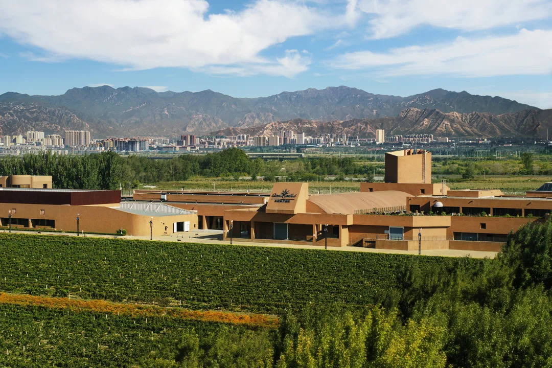 对话桑干总酿酒师余庆泉解锁国宴红酒西拉美味密码