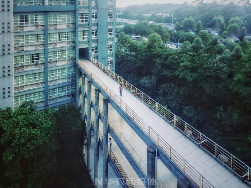 报考华南农业大学,华农报录比